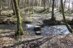 Natursteig Sieg #8 - Das muss als Brücke reichen