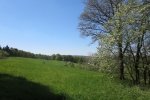 Natursteig Sieg #12