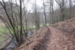 Natursteig Sieg #6 - Staatsforst Neunkirchen-Seelscheid