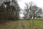 Natursteig Sieg #6 - Staatsforst Neunkirchen-Seelscheid