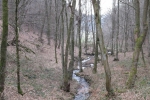 Natursteig Sieg #6 - Staatsforst Neunkirchen-Seelscheid