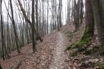 Natursteig Sieg #6 - Heilbrunnenpfad
