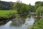 Natursteig Sieg #2 - An der Bröl