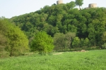 Natursteig Sieg #2 - Burgruine Blankenberg