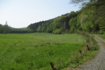 Natursteig Sieg #3 - Im Krabachtal