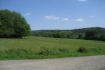 Natursteig Sieg #5 - Blick vom Hensberg