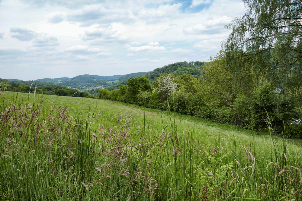 Entdeckerschleife: Weitblick auf das Ruhrgebiet