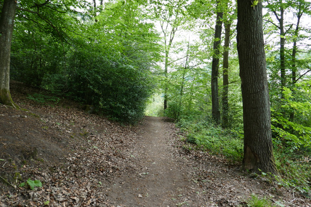 Entdeckerschleife: Weitblick auf das Ruhrgebiet
