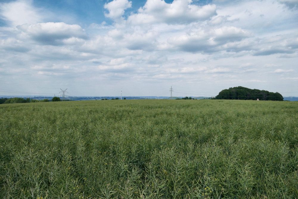 Entdeckerschleife: Weitblick auf das Ruhrgebiet