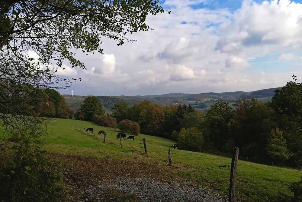 Entdeckerschleife: Biohöfe im Windrather Tal