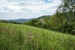 neanderland STEIG