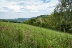 Entdeckerschleife: Weitblick auf das Ruhrgebiet