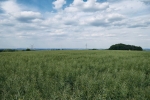 Entdeckerschleife: Weitblick auf das Ruhrgebiet