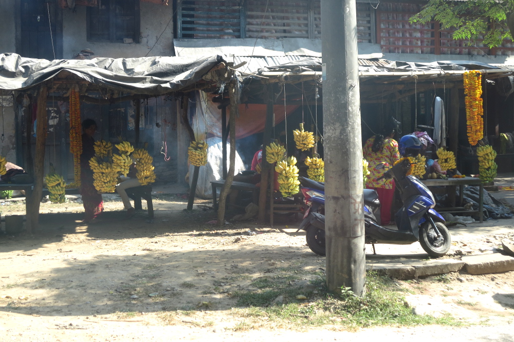 Nepal - Pausensnack, hocharomatisch mit leichter Zitrusnote