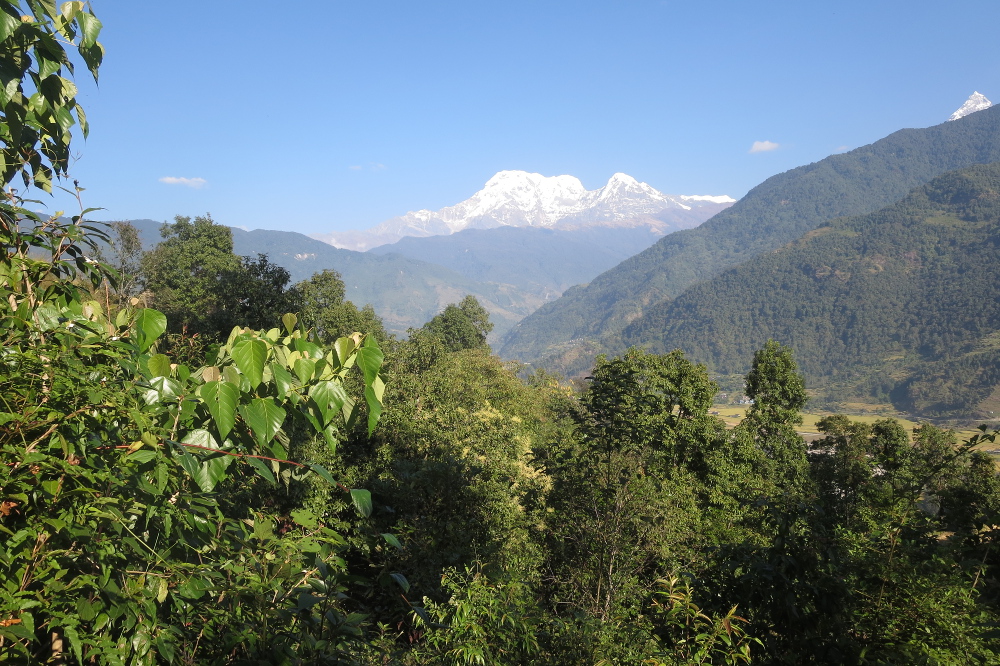 Nepal - Subtropische Vegetation vor der Annapurna