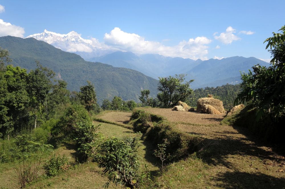 Nepal - Bescheidene Landwirtschaft