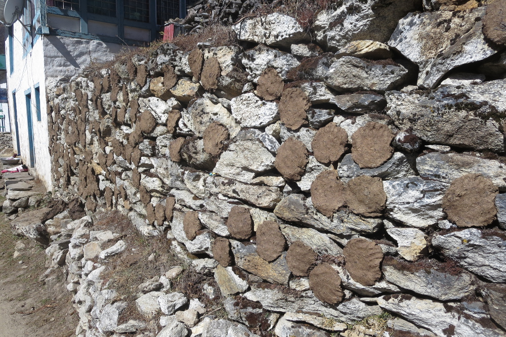 Nepal - Zukünftiges Heizmaterial: getrocknete Yakfladen