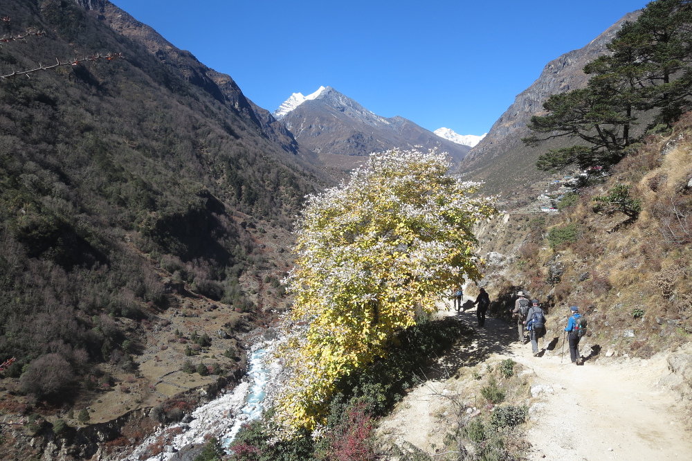 Nepal - Auf dem Weg nach Thame