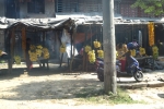 Nepal - Pausensnack, hocharomatisch mit leichter Zitrusnote