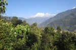 Nepal - Subtropische Vegetation vor der Annapurna