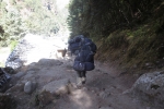 Nepal - Unser Gepäck überholt uns