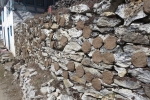 Nepal - Zukünftiges Heizmaterial: getrocknete Yakfladen