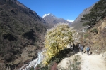 Nepal - Auf dem Weg nach Thame