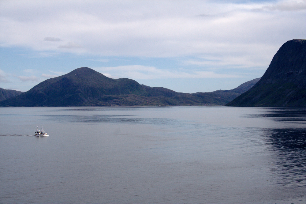 Nordkap, Hurtigruten und Lofoten: Im Sørøysund
