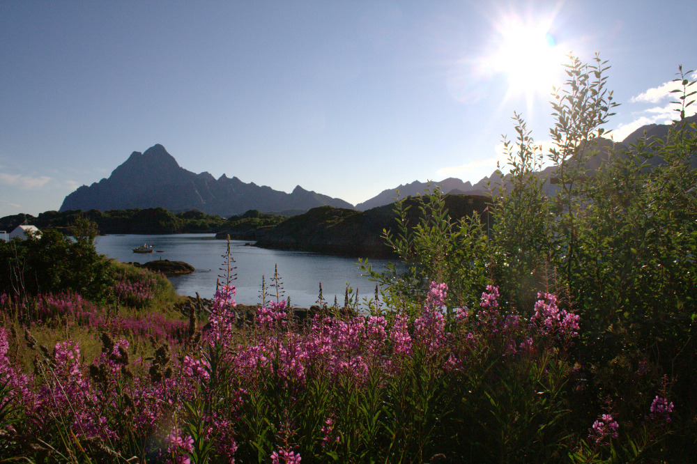 Nordkap, Hurtigruten und Lofoten: Der 'Hotel-Fjord'