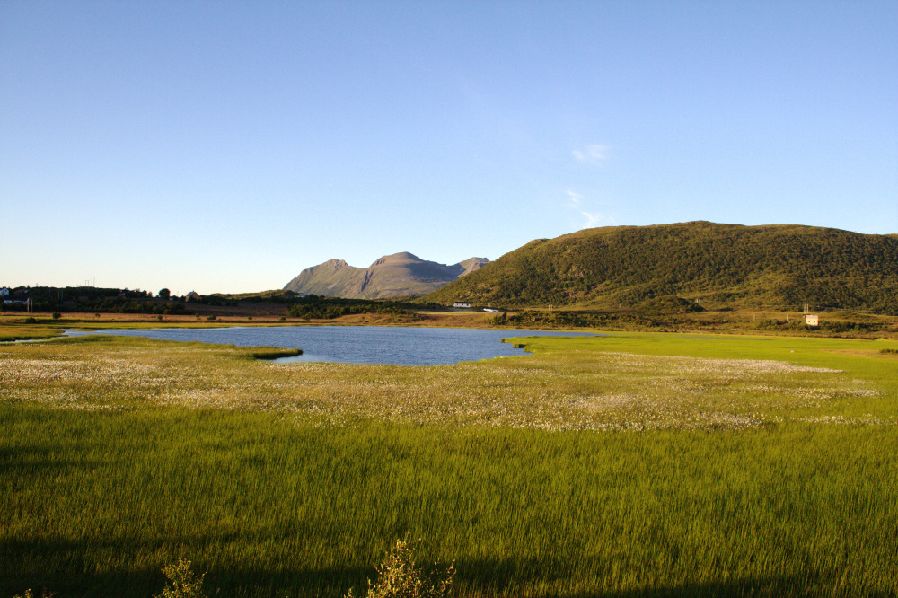 Nordkap, Hurtigruten und Lofoten: Bei Grundstad