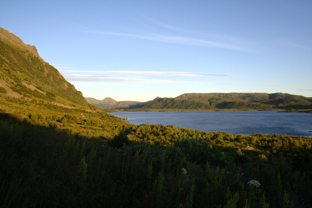 Nordkap, Hurtigruten und Lofoten: Am Steirapollen