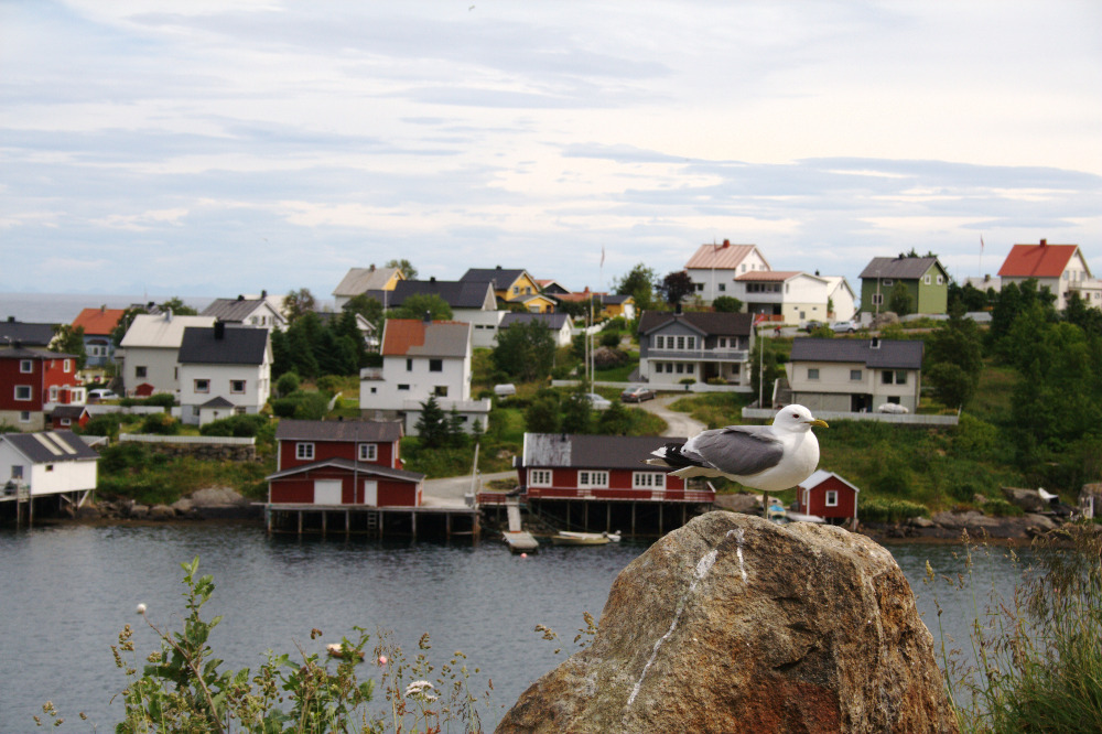 Nordkap, Hurtigruten und Lofoten: Reine