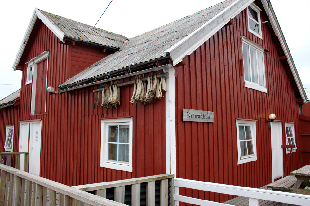 Nordkap, Hurtigruten und Lofoten: Privater Stockfischvorrat