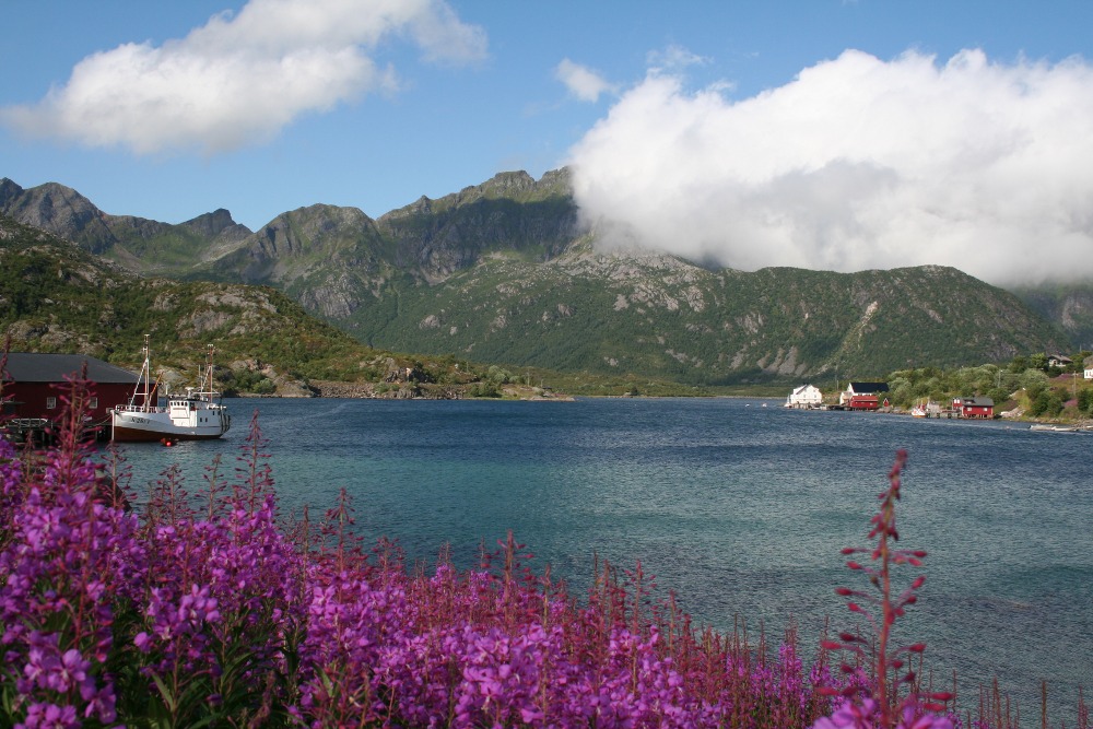 Nordkap, Hurtigruten und Lofoten: Kalle
