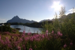 Nordkap, Hurtigruten und Lofoten: Der 'Hotel-Fjord'
