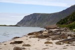 Nordkap, Hurtigruten und Lofoten: Strandschafe