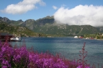 Nordkap, Hurtigruten und Lofoten: Kalle