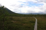 Nordkap, Hurtigruten und Lofoten: Plankenweg im Abisko-Nationalpark