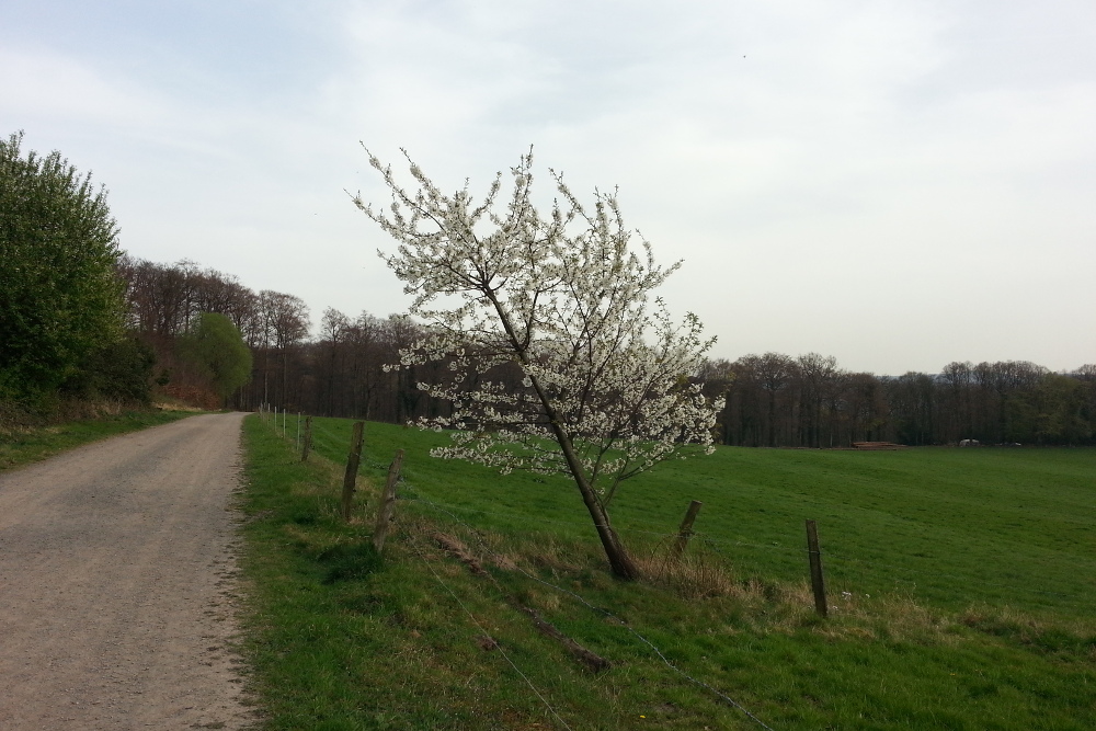 Ruhrsteig Harkort-Runde