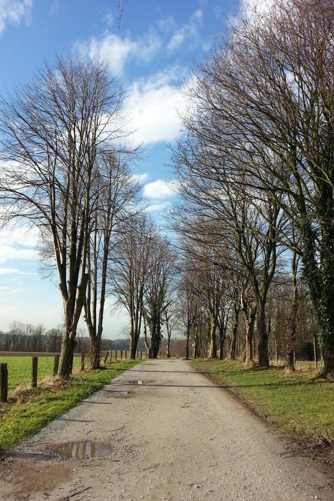 Ruhrsteig – Auenland Runde – Oefte