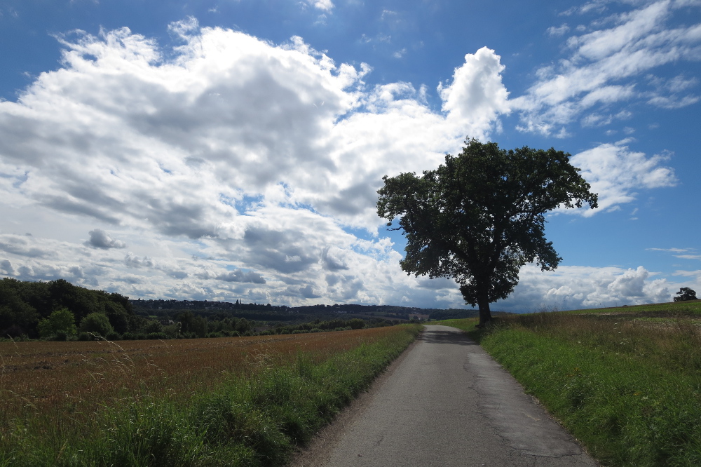 Ruhrsteig – Burg Volmarstein Runde