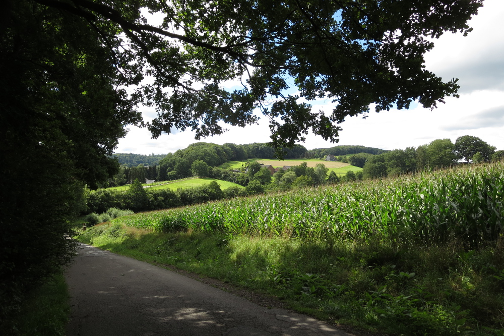 Ruhrsteig – Burg Volmarstein Runde