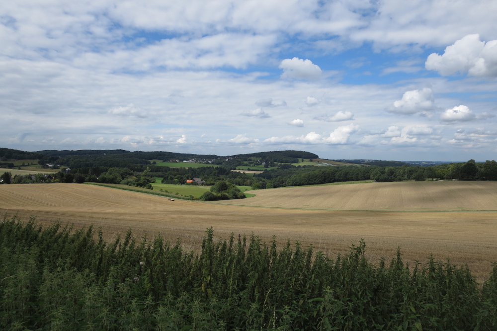 Ruhrsteig – Burg Volmarstein Runde