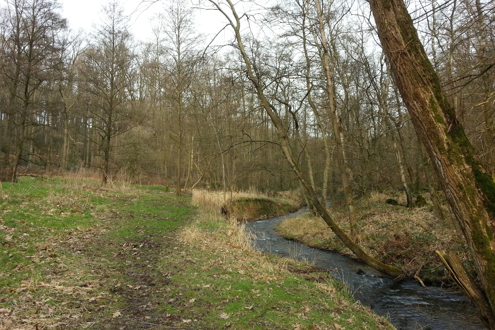 Ruhrsteig - Elbschebachtal Runde - Wengern