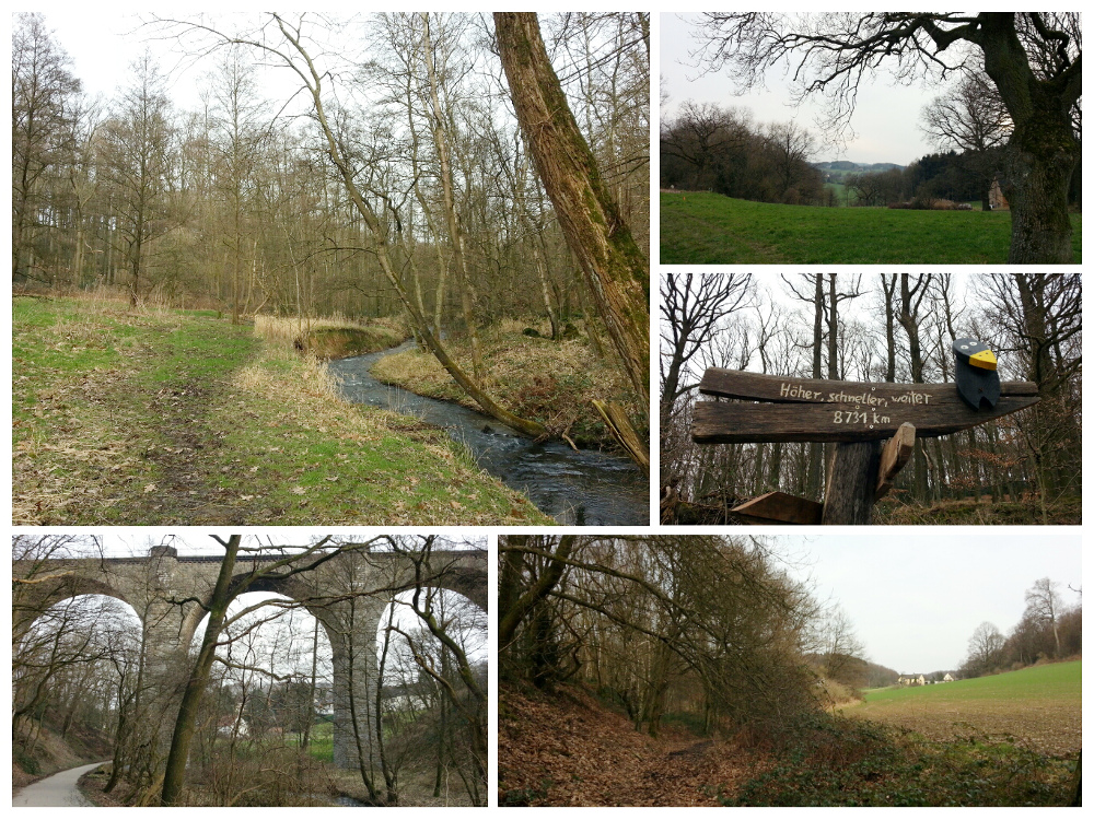 Ruhrsteig - Elbschebachtal Runde - Wengern