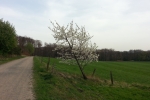Ruhrsteig Harkort-Runde