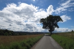 Ruhrsteig – Burg Volmarstein Runde