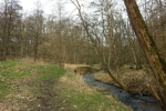 Ruhrsteig - Elbschebachtal Runde - Wengern