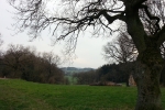 Ruhrsteig - Elbschebachtal Runde - Wengern