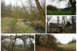 Ruhrsteig - Elbschebachtal Runde - Wengern
